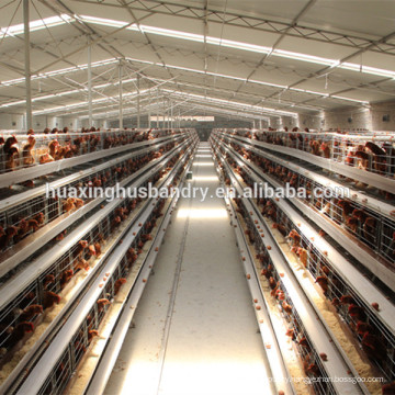 design automatic chicken coop used in poultry farm